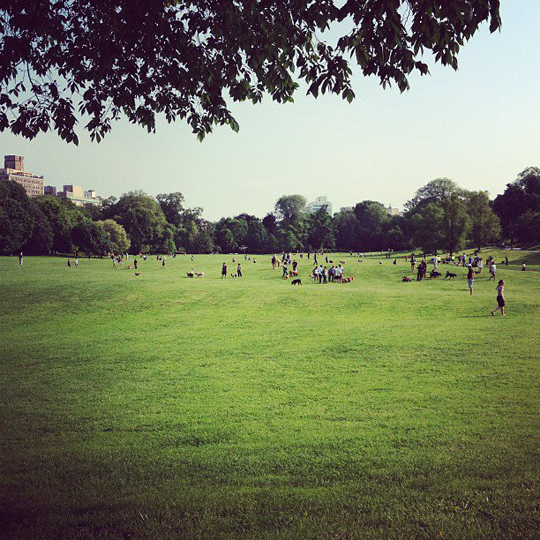 Enjoy the beautiful sights at Prospect Park, New York (PHOTOS) | BOOMSbeat